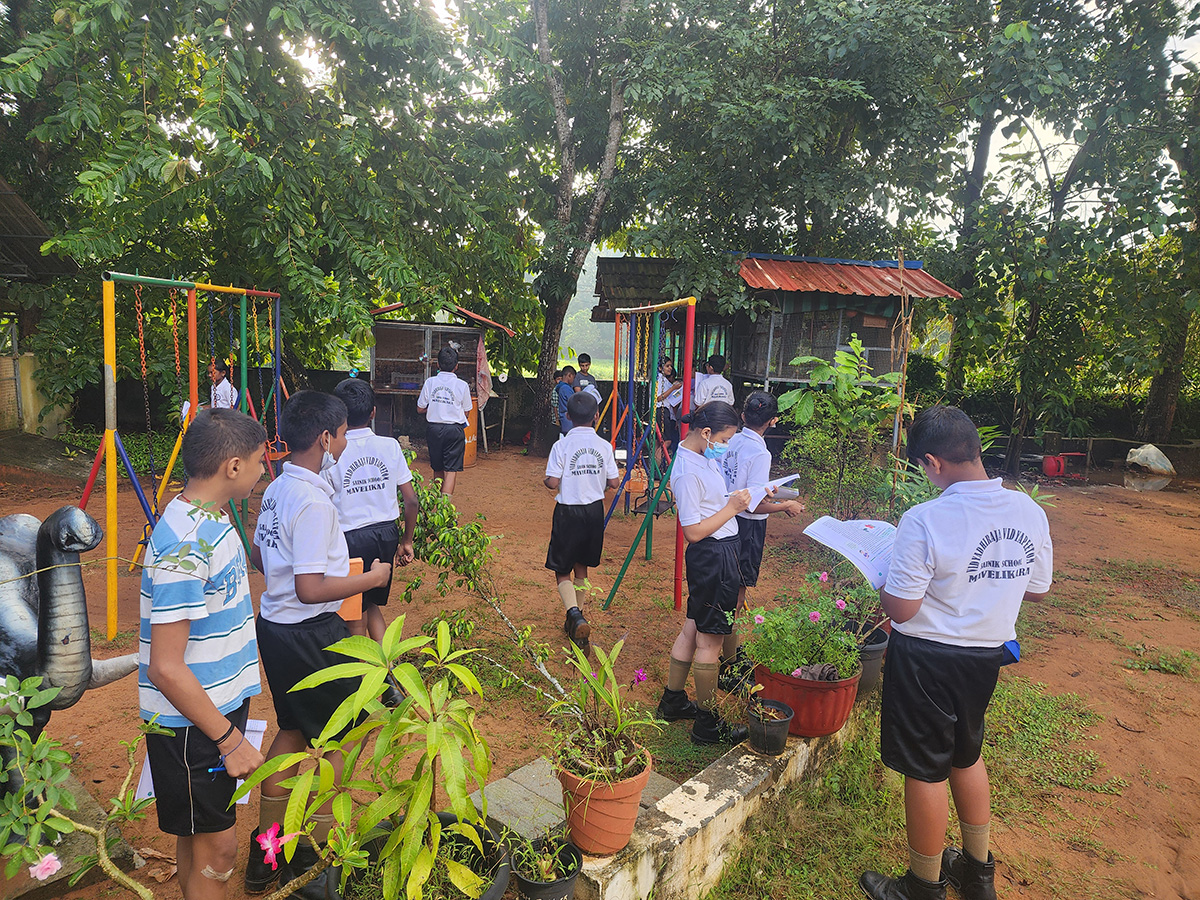 Co Curricular Activities