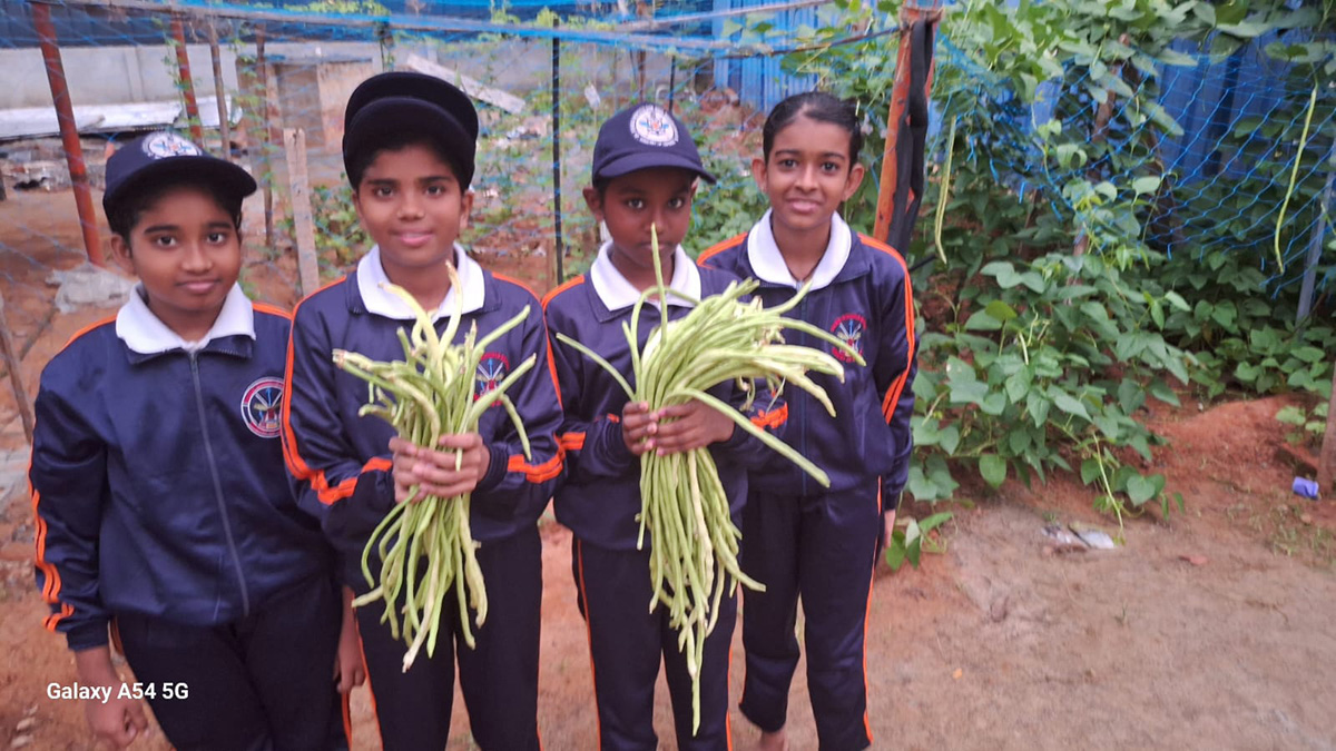 Sainik Hostel Veg Garden